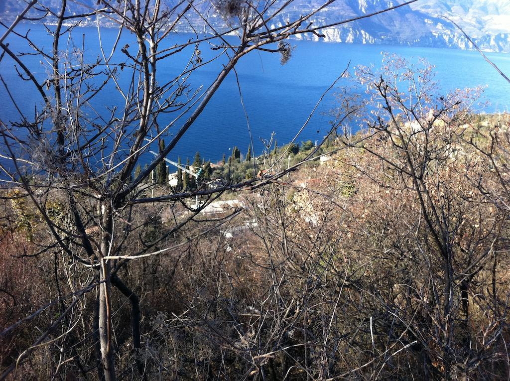 Locanda San Marco Torri Del Benaco Εξωτερικό φωτογραφία